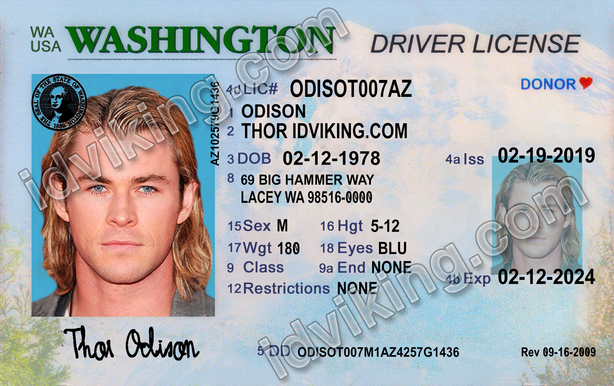 fake ohio drivers license template